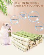 Natural sweet bamboo chew sticks for rabbits and small animals
