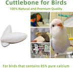4.3"-4.7" Cuttlebone for Birds,Natural Cuttlefish Bone for Parakeets,12 Pcs - Image 4