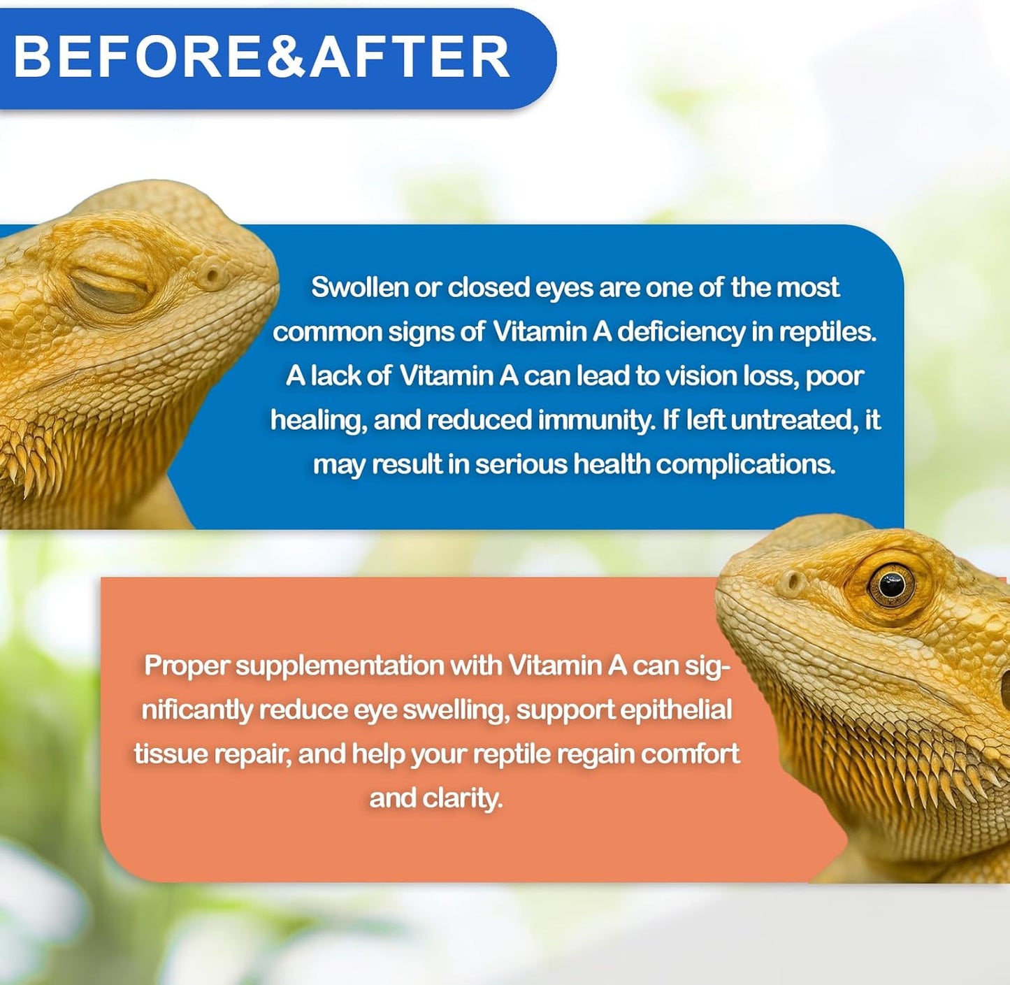 Educational graphic showing vitamin A benefits for turtles