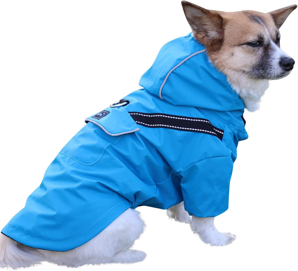 JoyDaog Premium Dog Raincoat with Hood for Extra Small Dogs,Outdoor Sports Waterproof Dog Rain Jacket,Puppy Raincoat with Pockets,Blue XS - Image 9