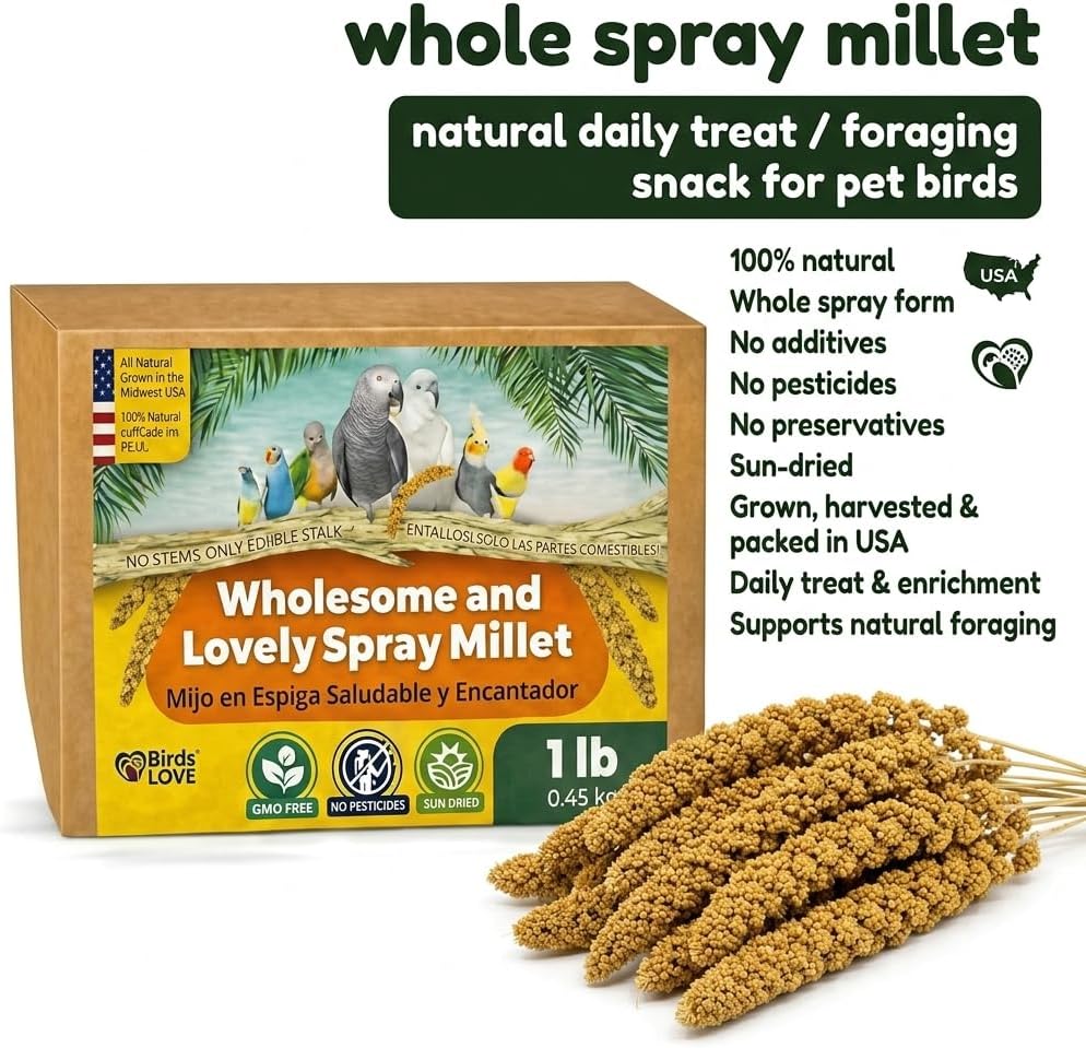 Authentic USA imported bird treat 1 pound box