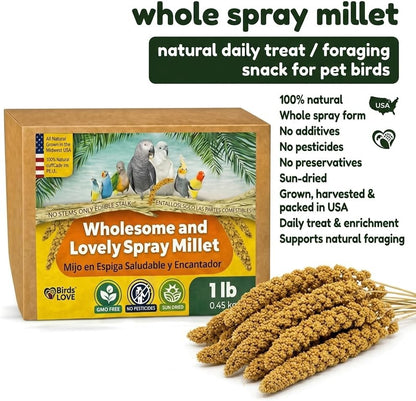 Authentic USA imported bird treat 1 pound box