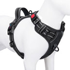 PHOEPET No Pull Dog Harness Medium Reflective Front Clip Vest with Handle,Adjustable 2 Metal Rings 3 Buckles,[Easy to Put on & Take Off](M, Orange) - Image 13