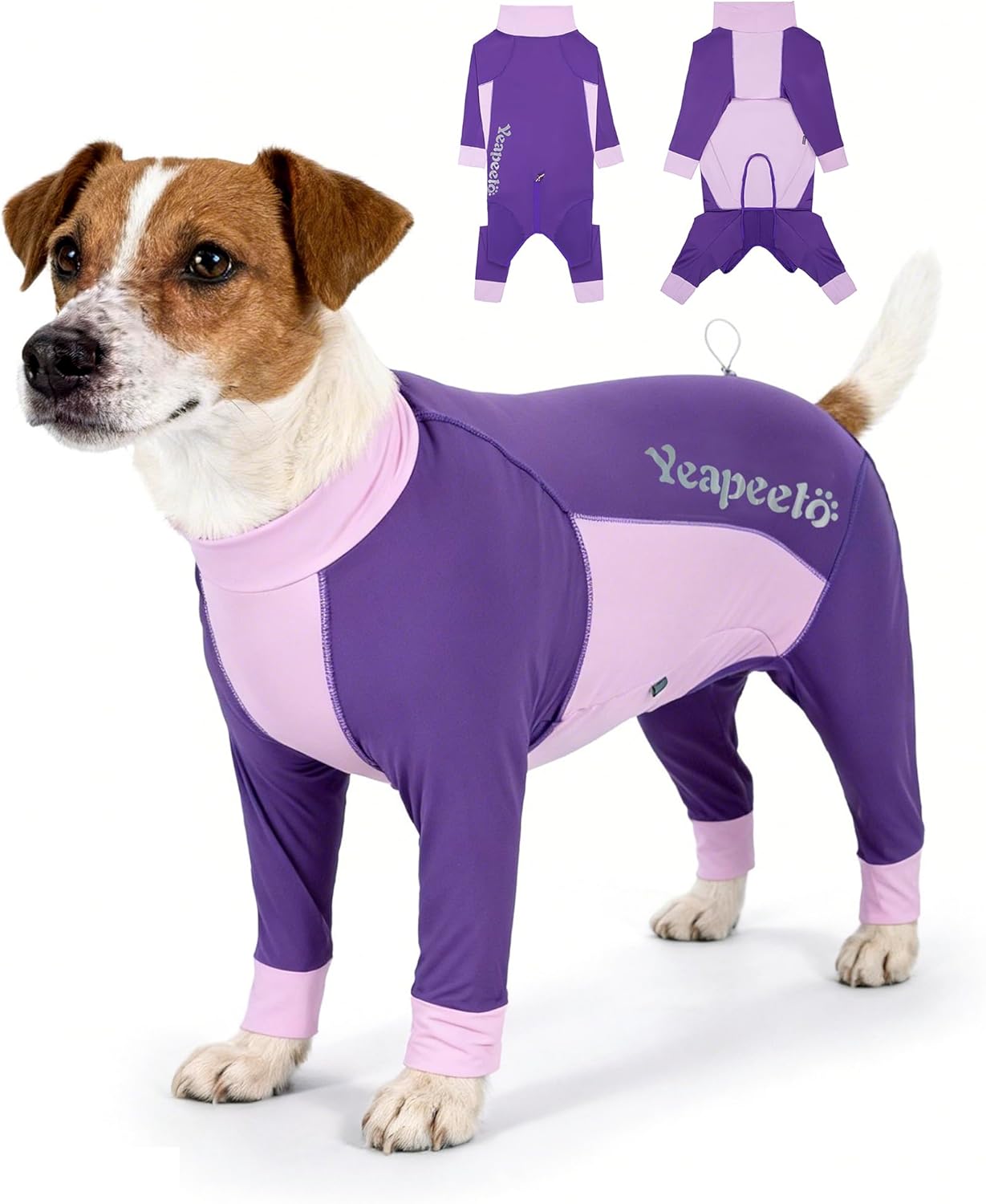 Comparison of dog comfort with and without protective suit