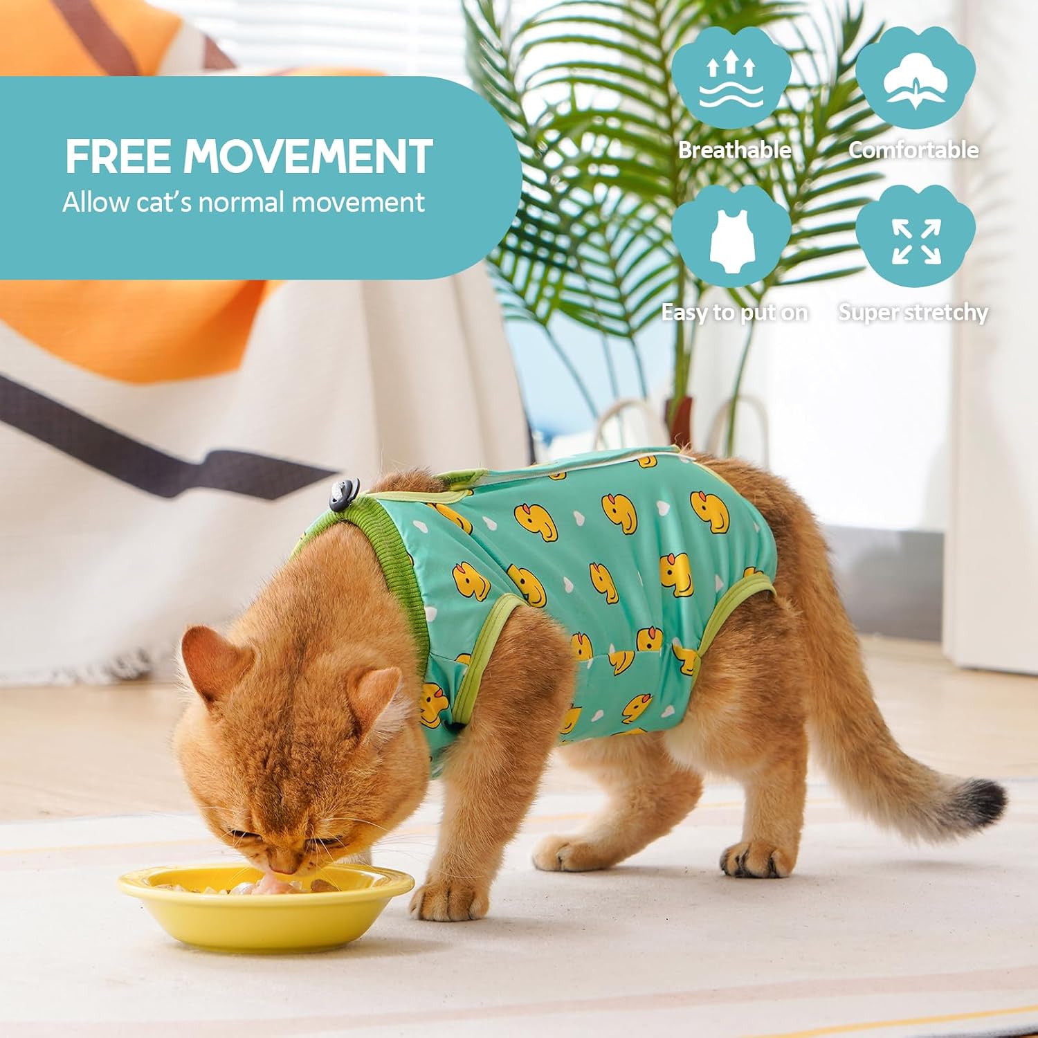 Avont premium modal fabric cat spay suit in medium size demonstrating its stretchy material.