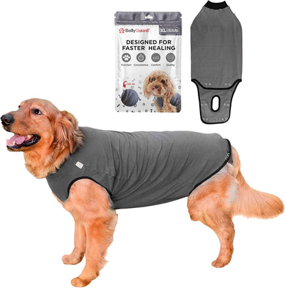 BellyGuard dog surgery recovery suit grey front view premium post operative pet apparel