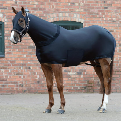 TGW RIDING full body horse sheet with neck cover medium size front view on horse