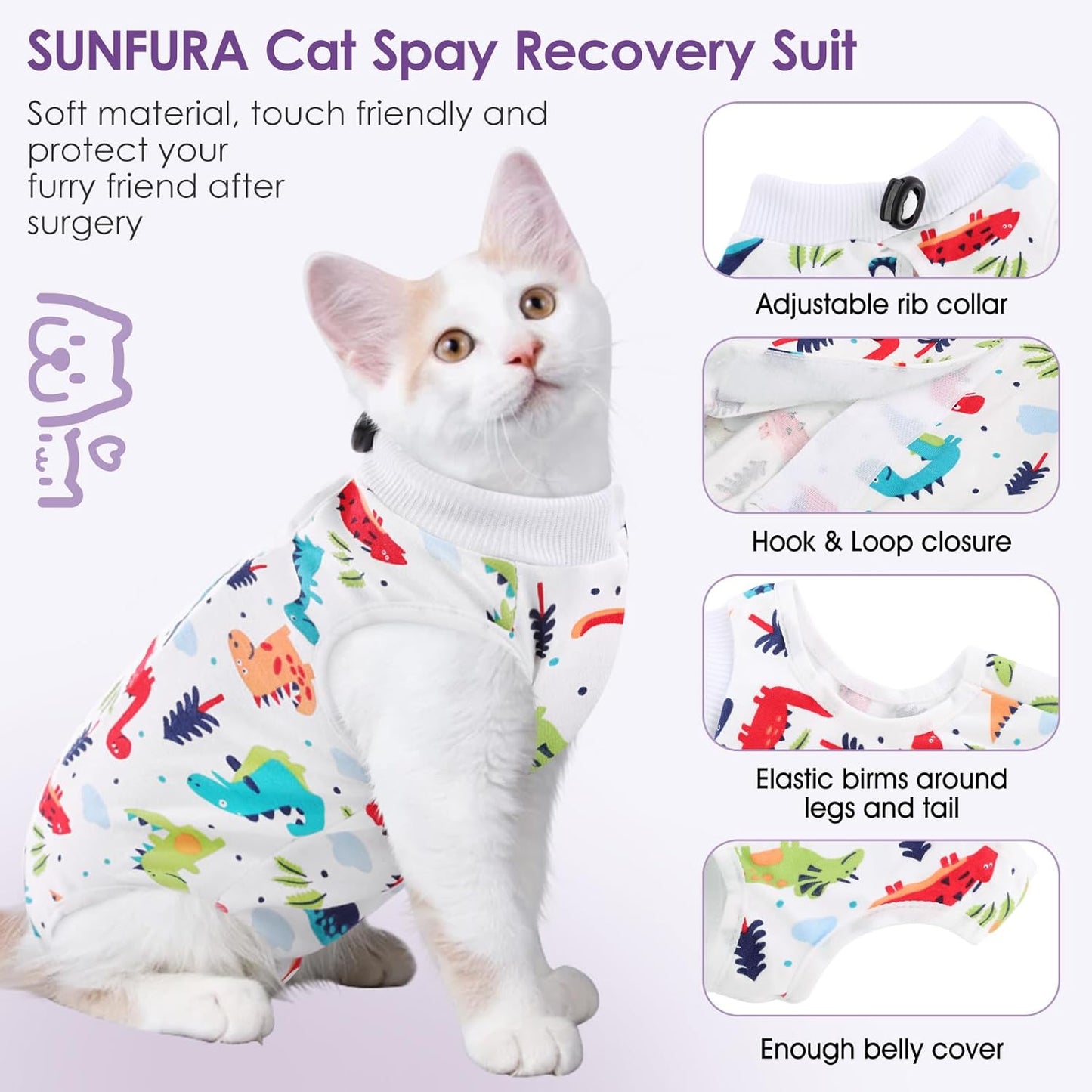 Small cat wearing a comfortable alternative to plastic E-collar