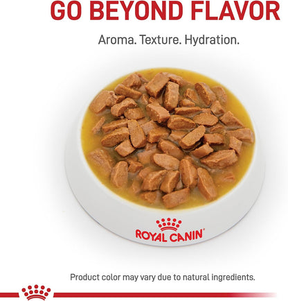 Royal Canin Canine Urinary SO Moderate Calorie thin slices in gravy canned dog food pack of twelve