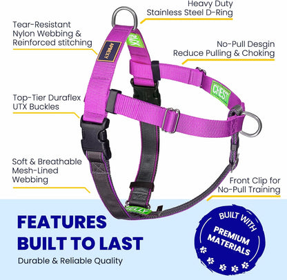 Large dog wearing Apdexy purple no pull harness