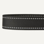 Amazon Basics dog seat belt showing elastic bungee buffer