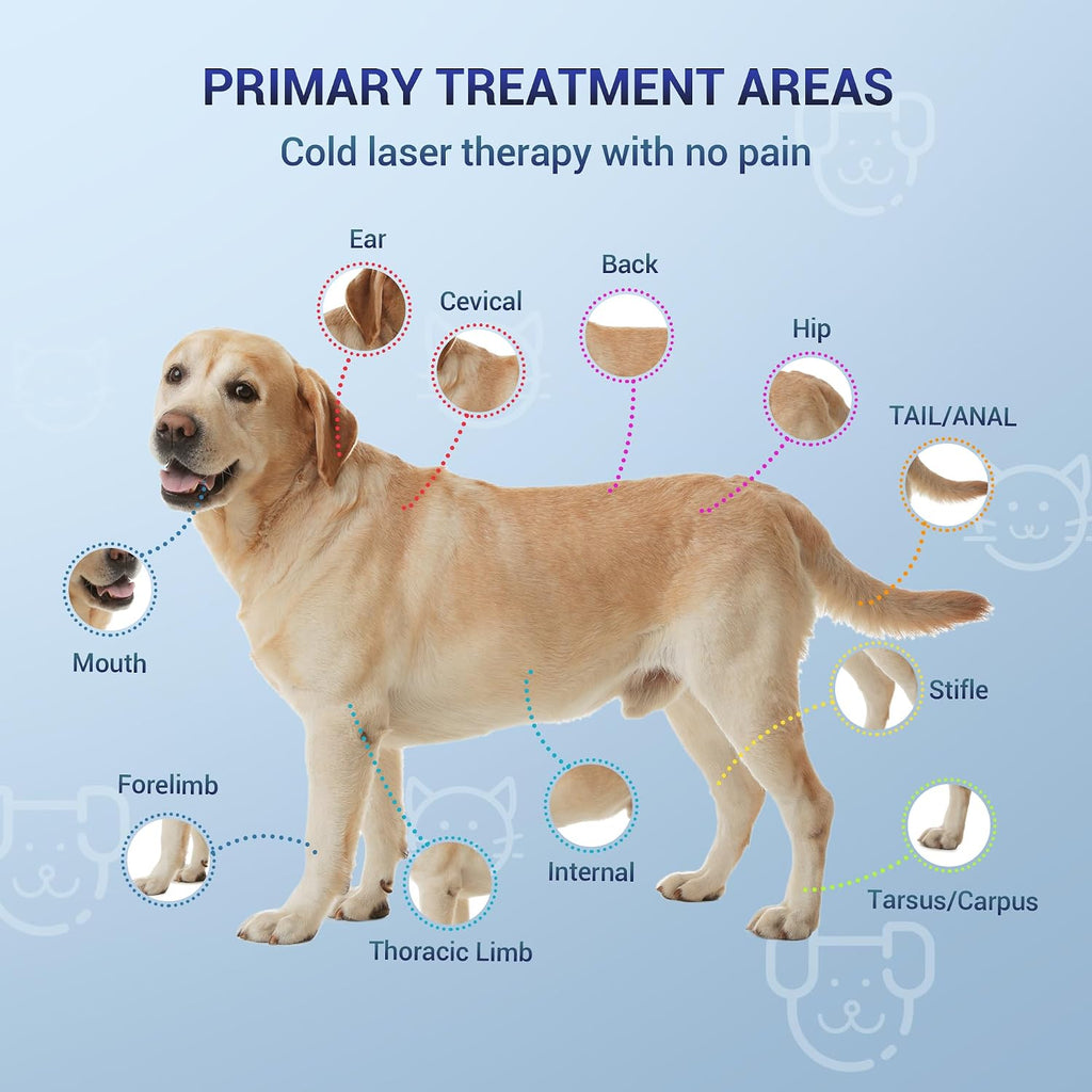 Portable cold laser therapy tool for animal arthritis treatment
