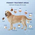 Portable cold laser therapy tool for animal arthritis treatment
