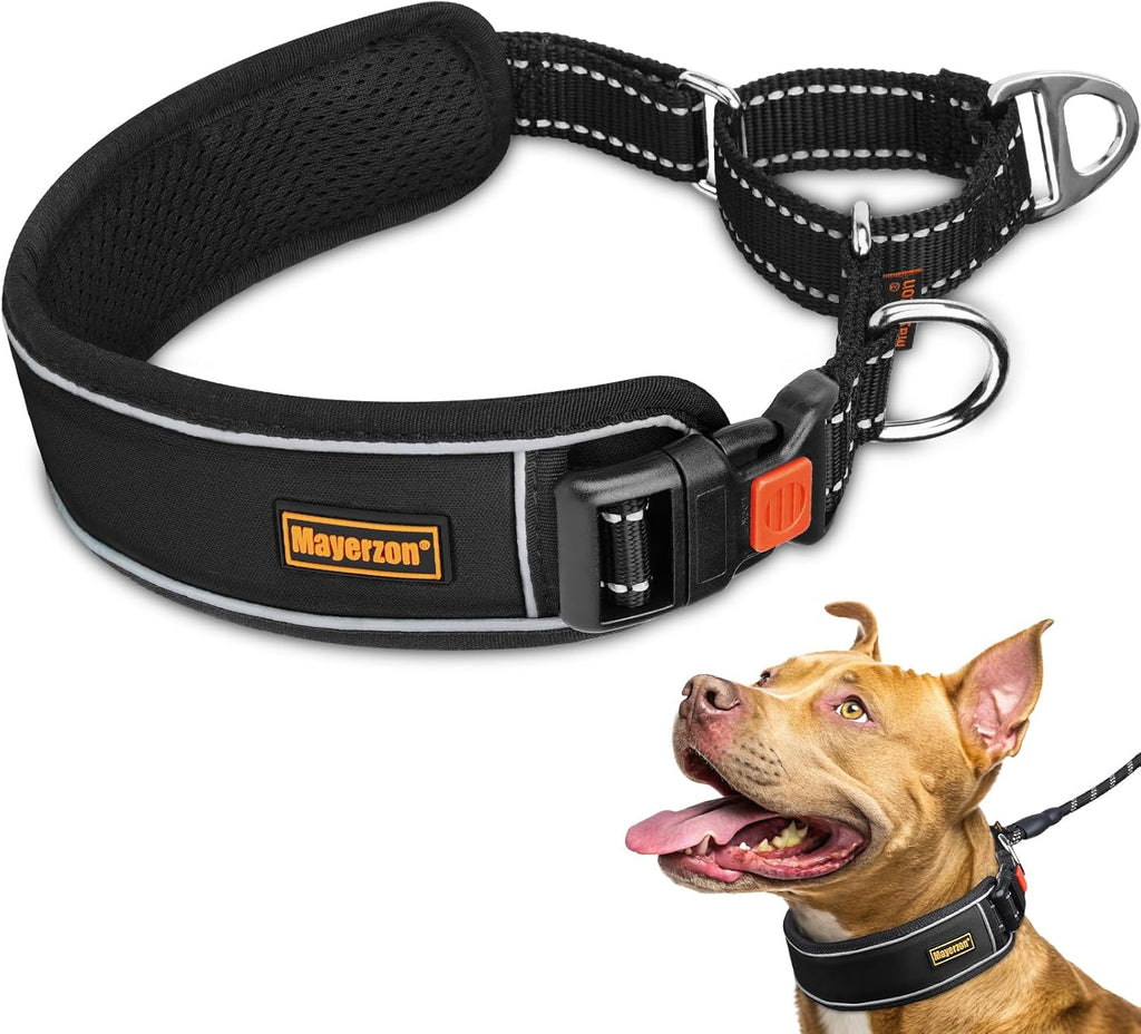 Mayerzon 2 Inch Wide Martingale Collar front view showing black nylon strap and orange brand patch