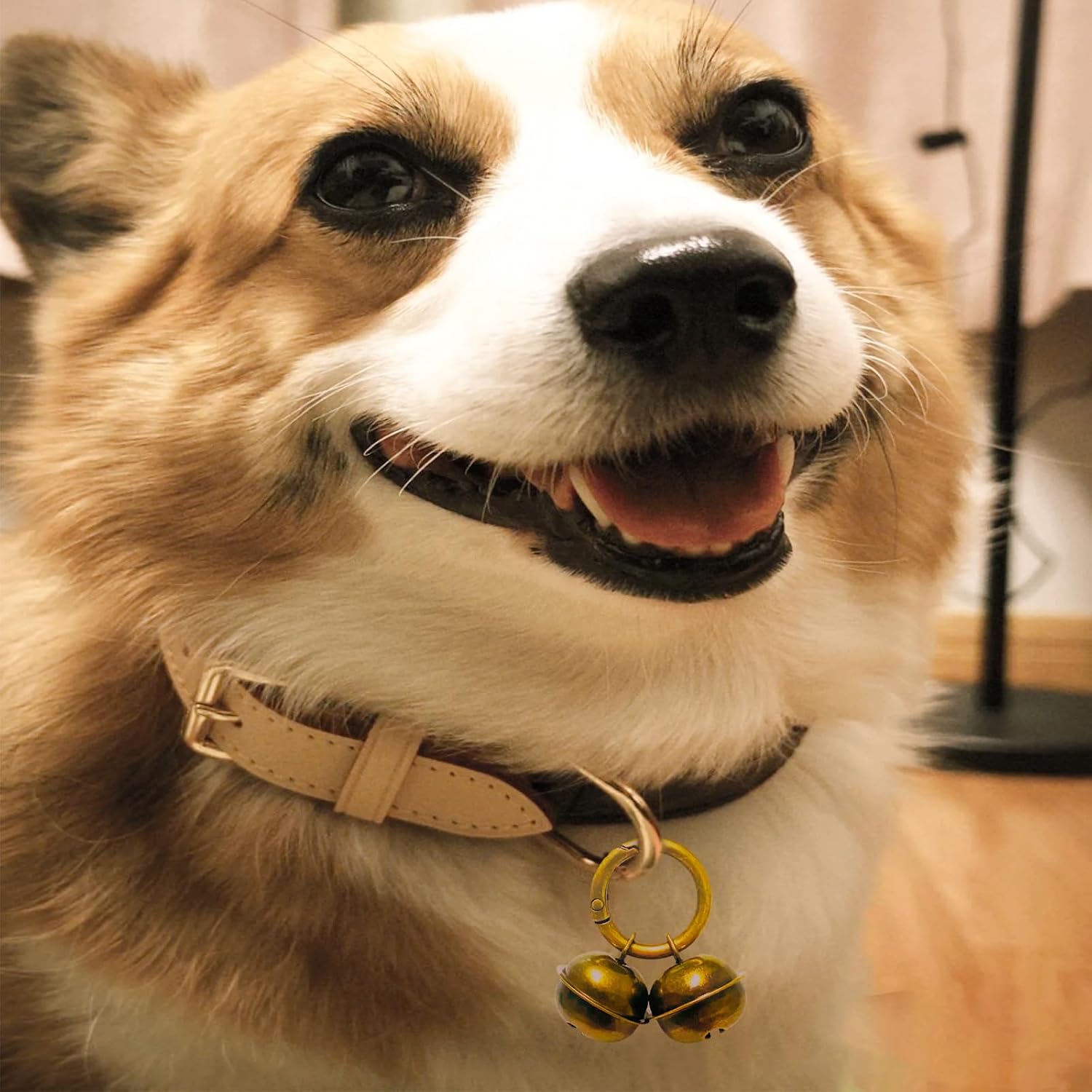 Multi purpose vintage pet collar charms being used as a high quality outdoor keychain.