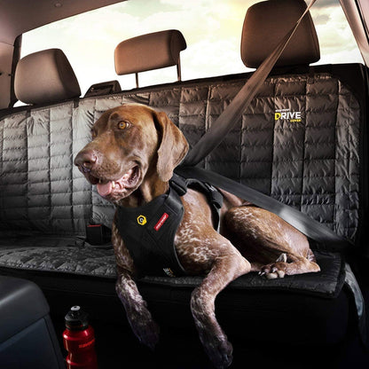 EzyDog Drive harness dual buckle system