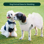 Kuoser dog tutu clothing elastic abdomen band for snug comfortable fitting