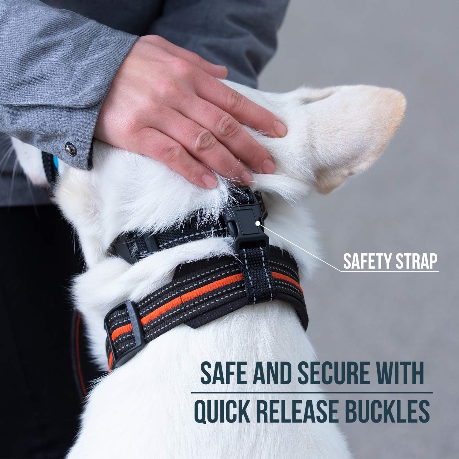 Padded neoprene anti pulling head halter for small and medium dogs