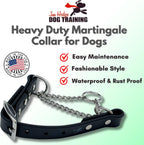Black Biothane dog collar with stainless steel hardware highlighting the durable rustproof chain loop.