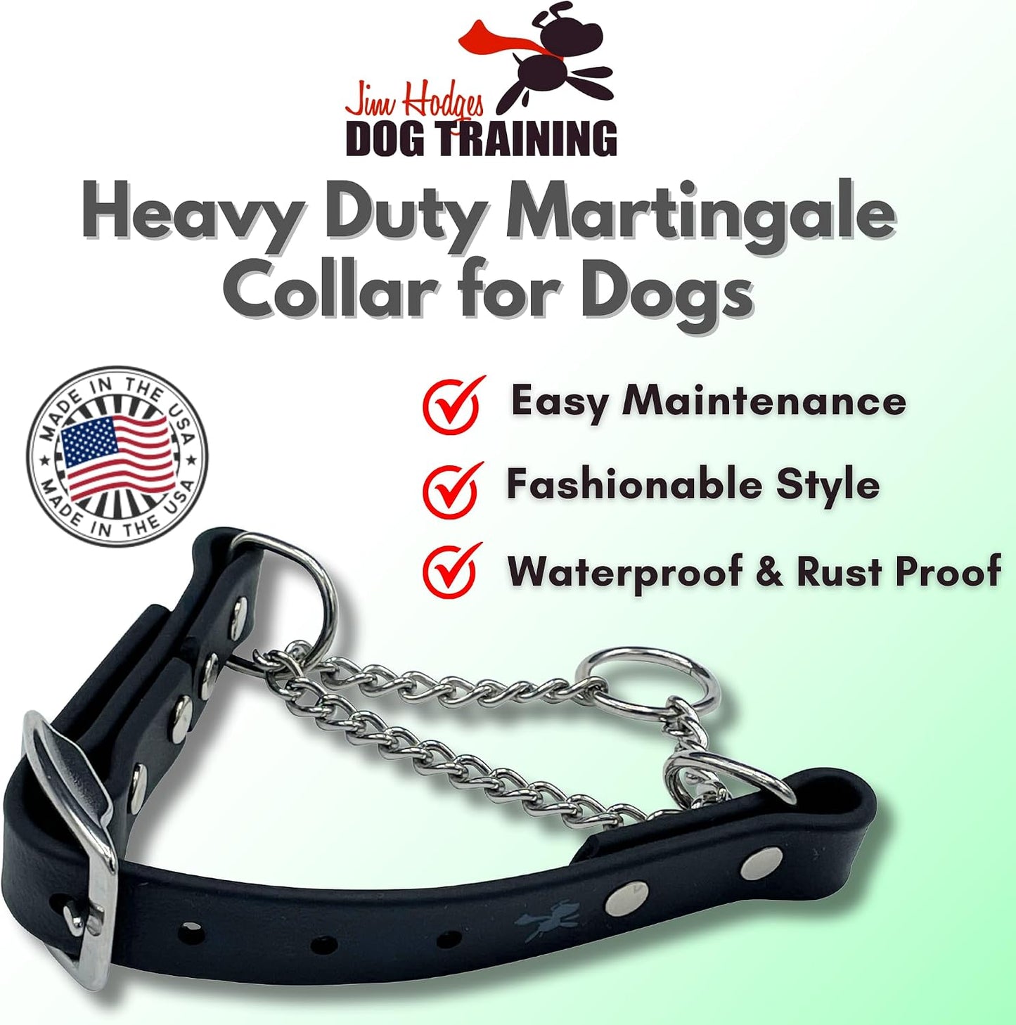 Black Biothane dog collar with stainless steel hardware highlighting the durable rustproof chain loop.