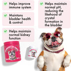 LEGITPET dog bladder support soft chews 120 count bottle