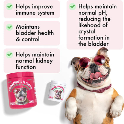 LEGITPET dog bladder support soft chews 120 count bottle