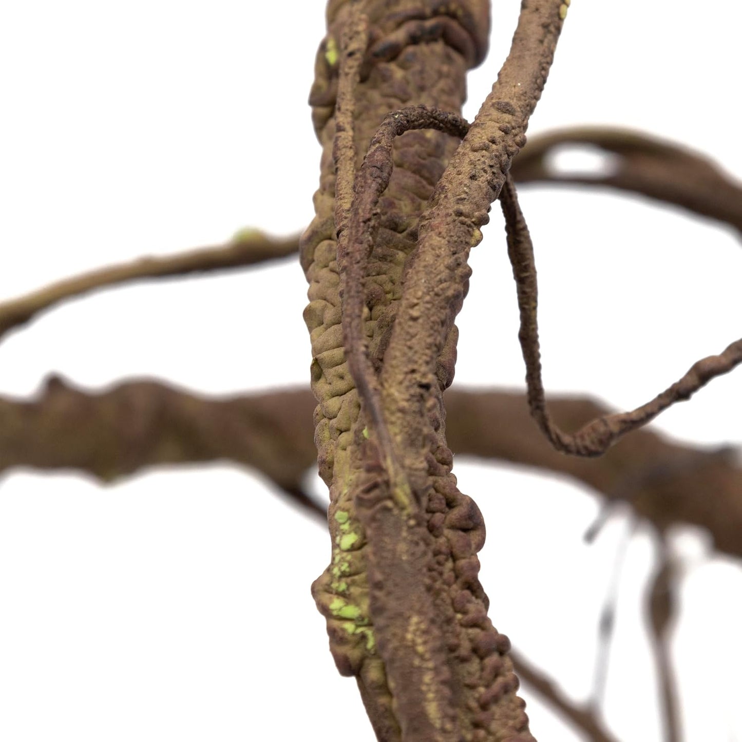 Close up of Pangea Reptile Ultimate Vine texture