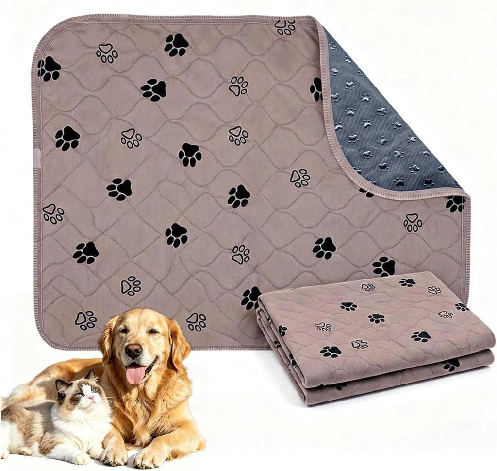 Comparison of reusable dog pad vs disposable floor protection