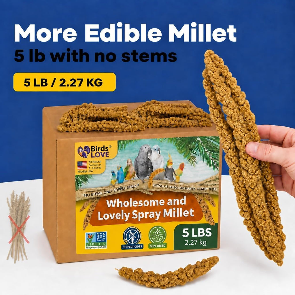 Birds LOVE wholesome bird treat inside cardboard storage box