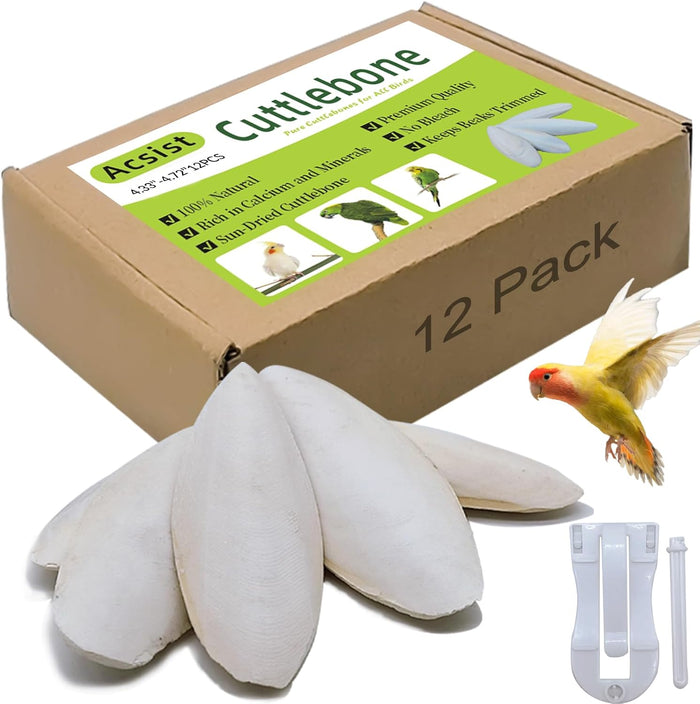 4.3"-4.7" Cuttlebone for Birds,Natural Cuttlefish Bone for Parakeets,12 Pcs - Image 1