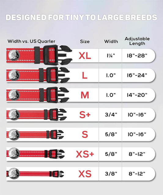 TagME puppy collar reflective strips detail