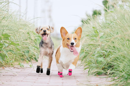 Yaodhaod paw protectors for small dogs