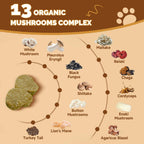 Supplement facts label detailing Glucosamine MSM and Omega three nutritional information