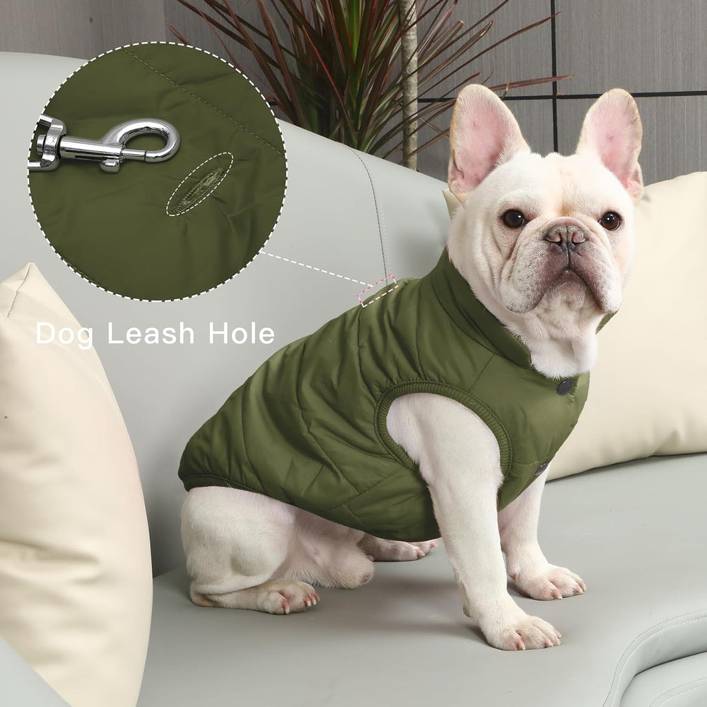 JoyDaog puppy winter jacket back view with leash hole