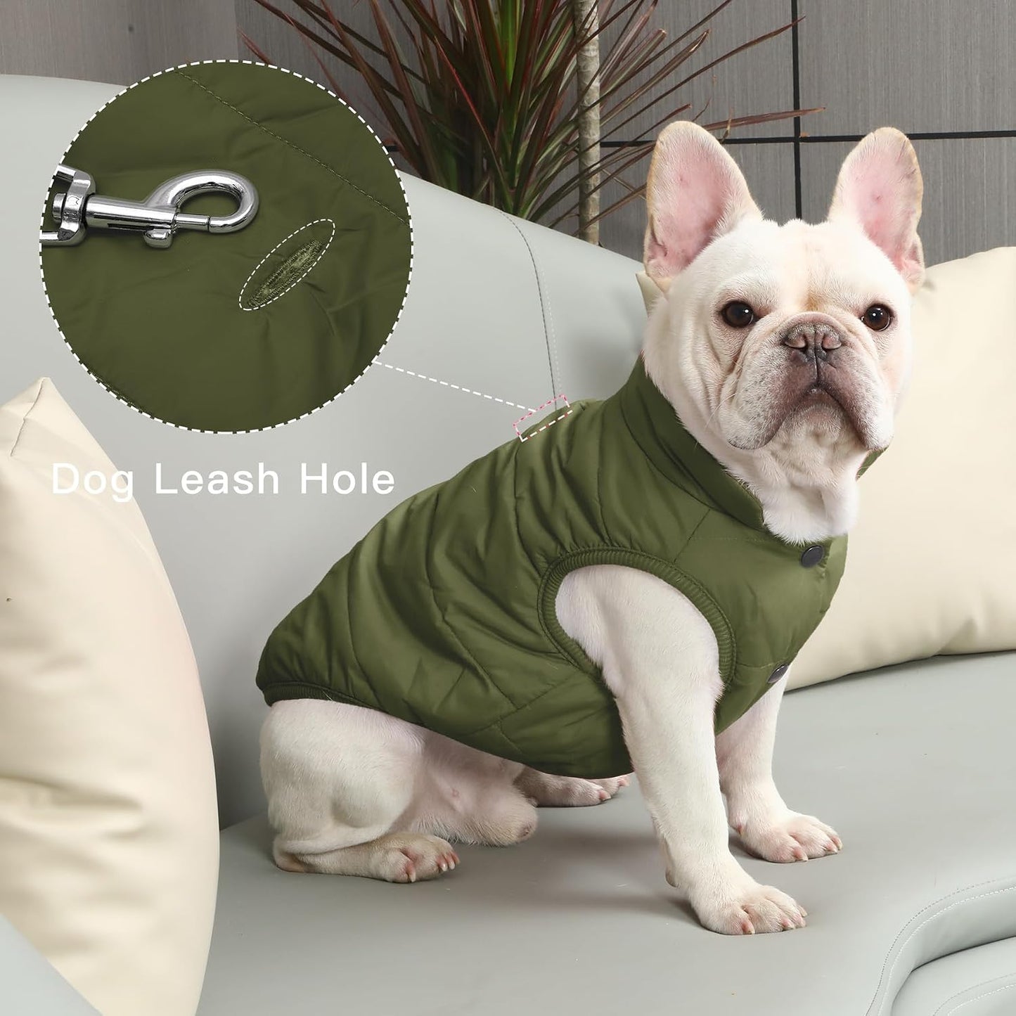 JoyDaog puppy winter jacket back view with leash hole