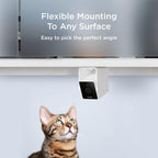 Petcube Cam packaging showing the authentic product details and smart app compatibility