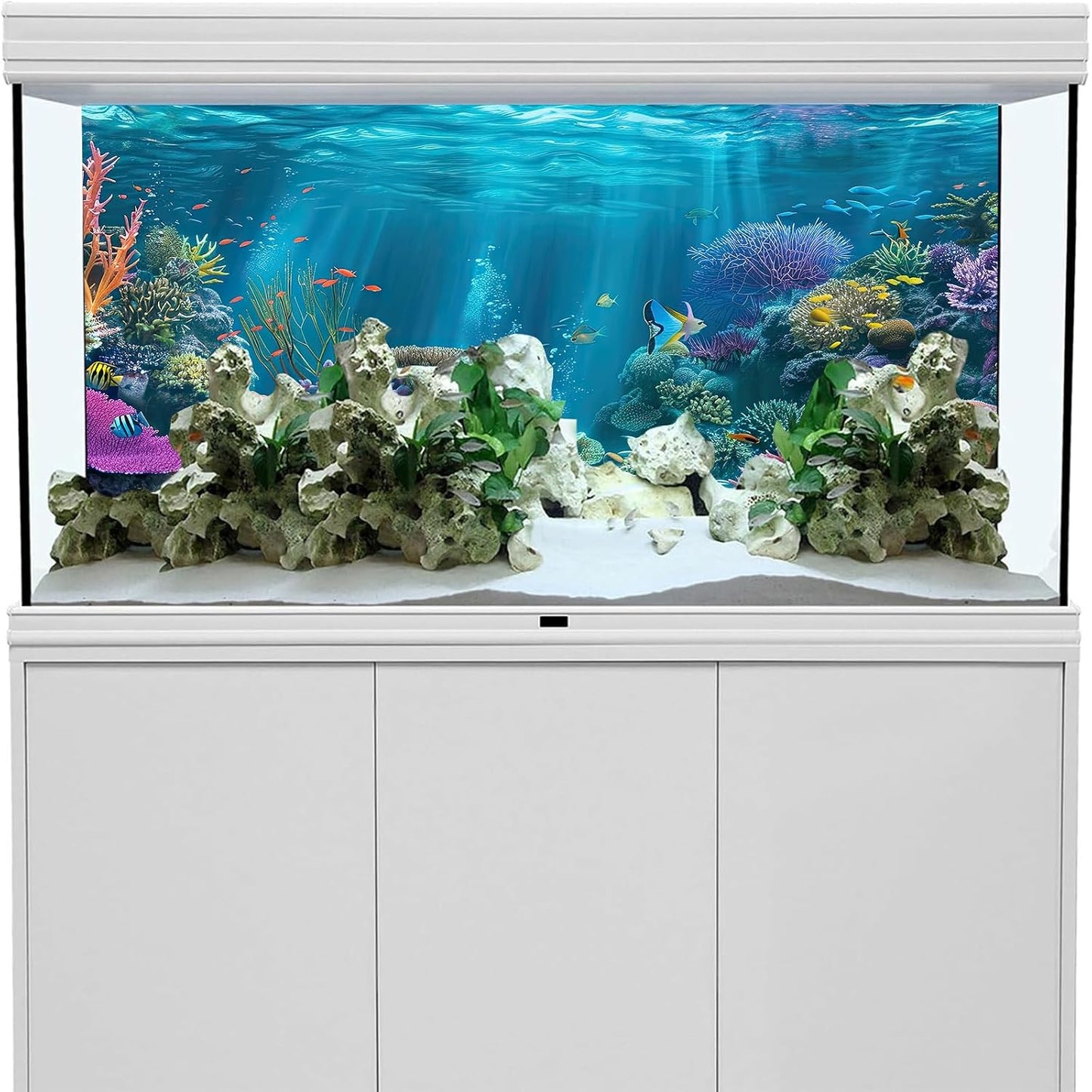 iTapnoom underwater nature plant backdrop showing included double sided EVA tapes