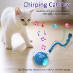 Chirping interactive cat chase toy with USB charging port details visible