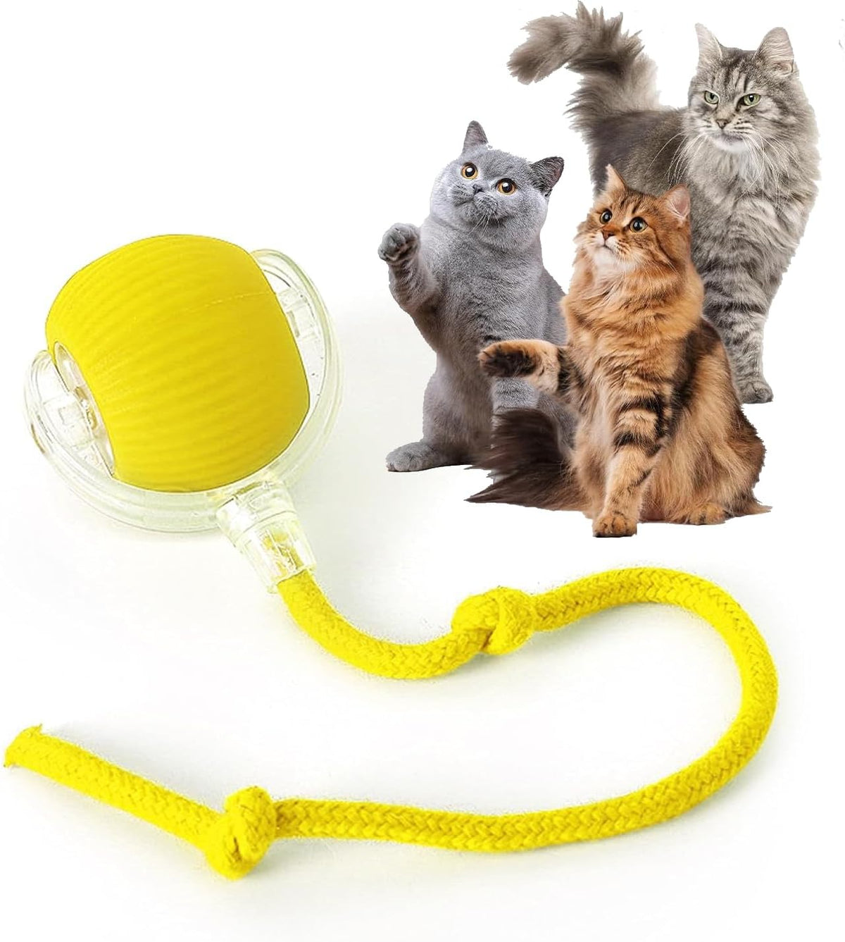 Rocfish Durable Interactive Cat Toys for Indoor Cats, Smart Automatic Cat Chase Ball Toy, Upgraded Speedy Tail Kitten Toy for Bored Indoor Adult Pets (Red) - Image 13