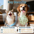 Wagmee dog and cat wellness supplement with probiotics and vitamins