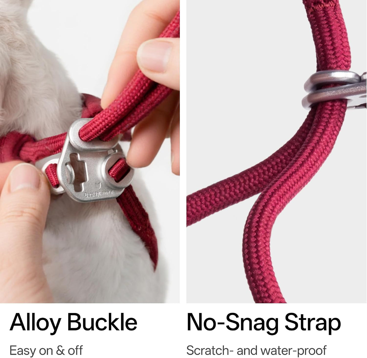 BuddyArmor reflective logo cat harness for safe night walking