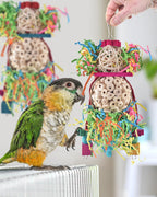Two piece bird chew toy set for conures and cockatiels