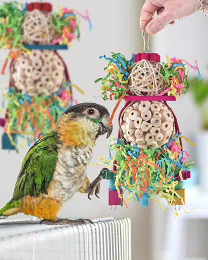 Small bird entertainment toy with hanging bell and pacifier