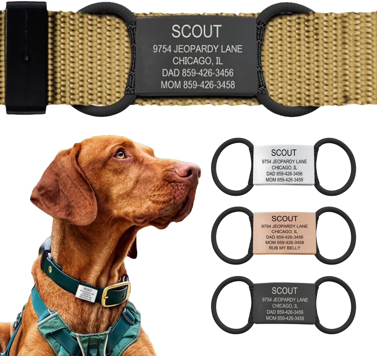 Personalized Dog Tags by ROAD iD | Silent & Durable | Jingle-Free Slide-On Design | Stainless Steel Name Tag Fits Any Collar | Multiple Colors & Sizes for Your Pet's Unique Style - Image 9