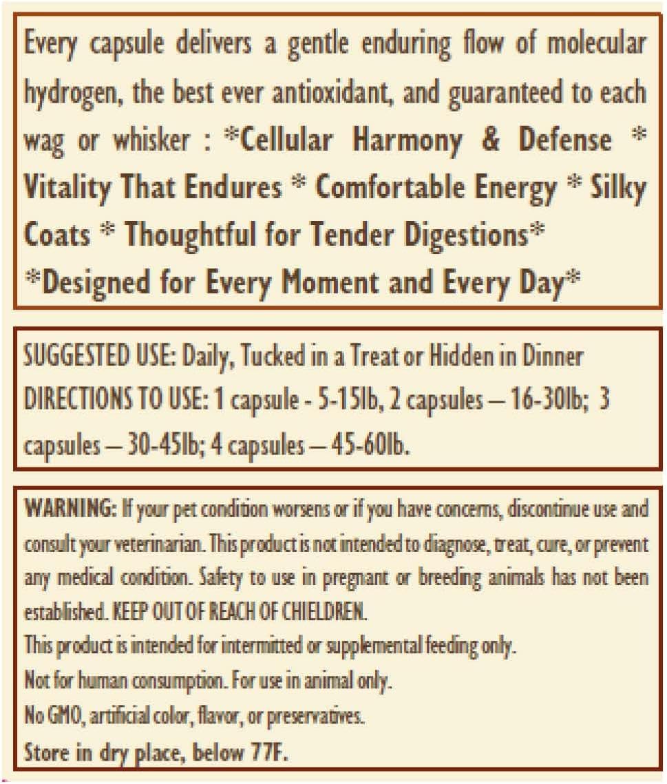 H2 Universe True Nano H2 cellular health supplement for pets