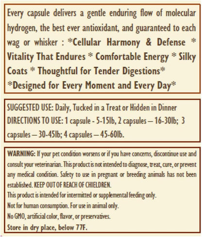 H2 Universe True Nano H2 cellular health supplement for pets