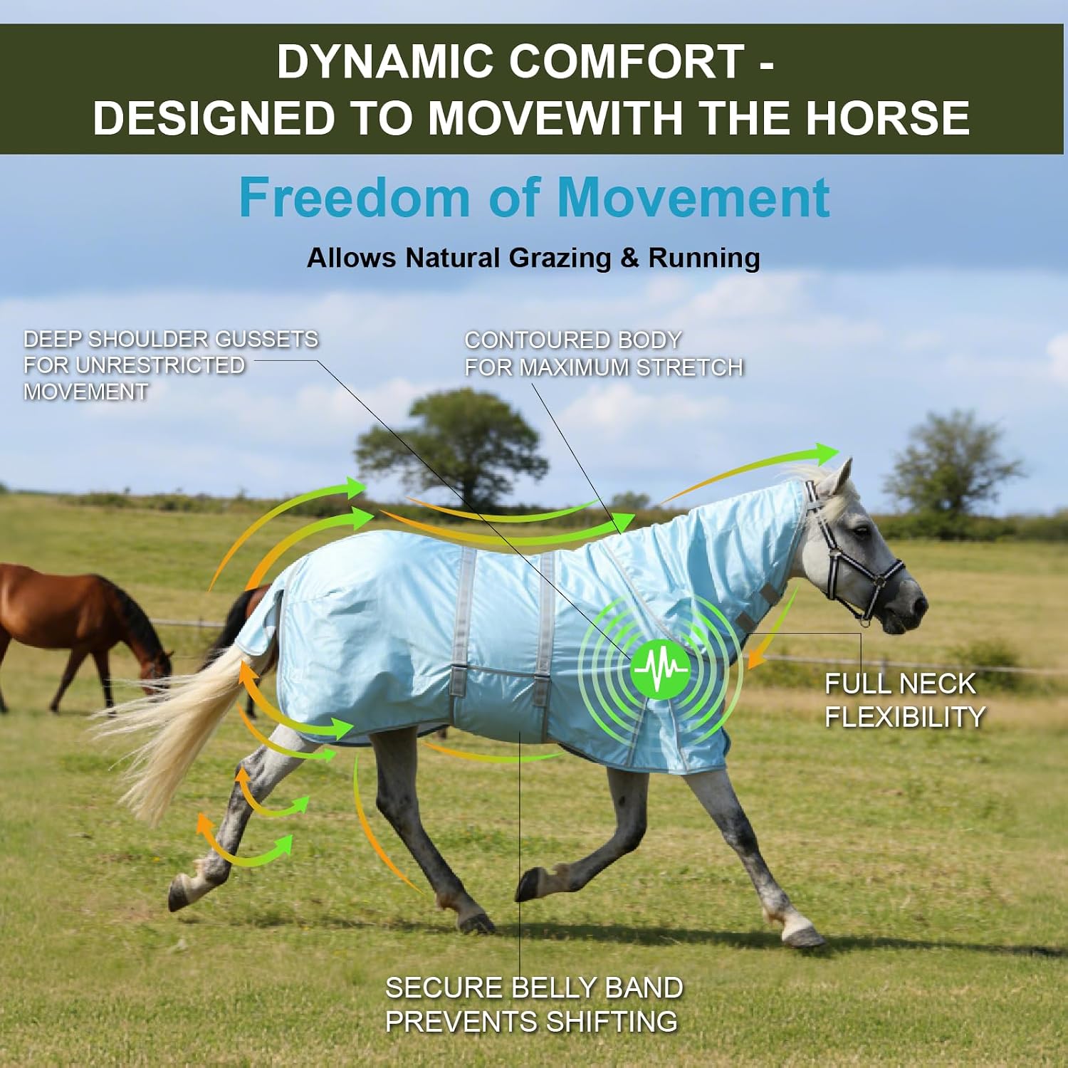 Gallopoff equine rug highlighting the detachable neck cover and adjustable closures.