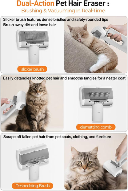 Itutn pet deshedding kit showing the four interchangeable grooming attachments laid out on a table