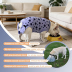Breathable dog post surgical onesie showing the abdominal wound protection area