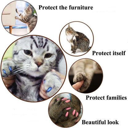 Step by step application process of vinyl resin claw guards on a small kitten